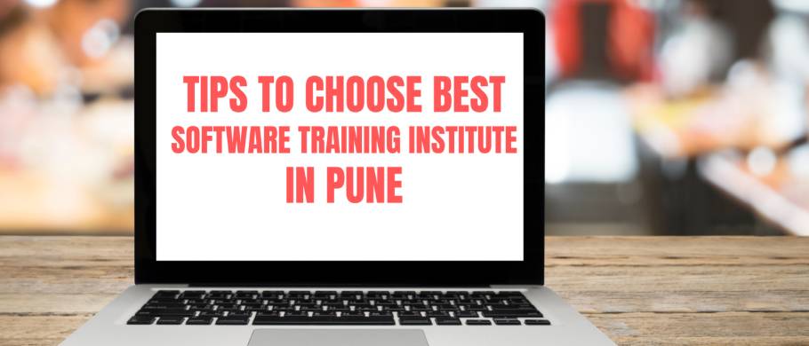 8 check points to check best software training institute