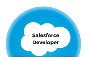 Salesforce Developer training in Pune