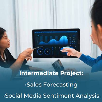 Intermediate Project